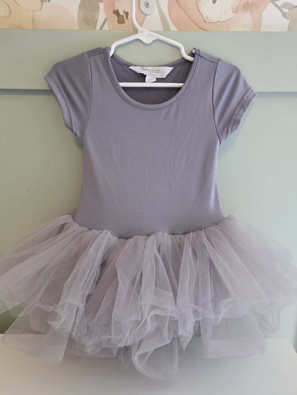 Iloveplum 4 Years Or 4t Tulle Ballet Costume Leotard Dress I Love Plum